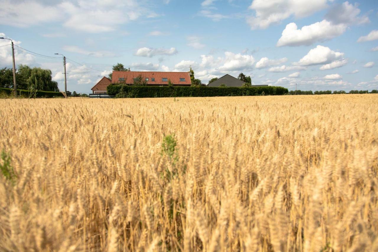 Gîtes de La Vesée La Chapelle d'Armentieres Exterior foto